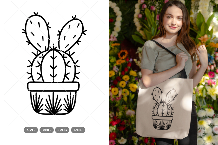 Cactus Vector Image 4