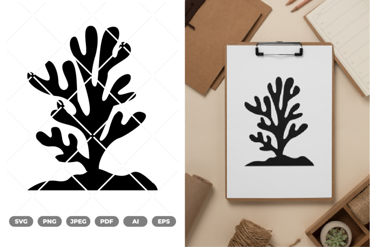 Seaweed Illustration Image 16