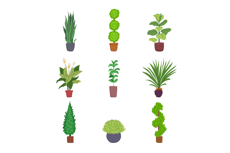 Cartoon Plant Image 20