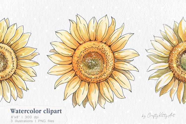 Watercolor Sunflower clipart, single Sunflowers PNG clip art
