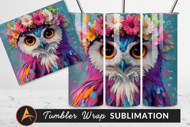 Owl Clipart Image 21