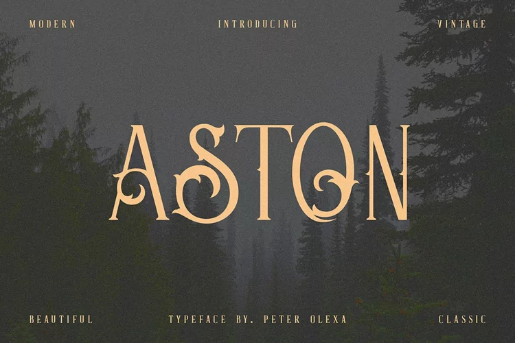 Aston - Vintage Serif Font