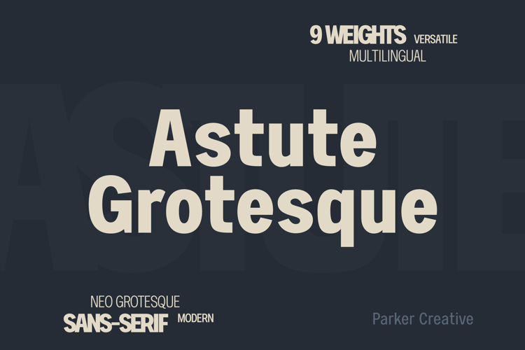 Astute Neo-Grotesque Modern Sans-Serif