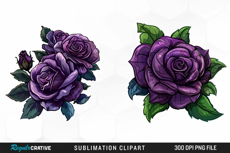 Watercolor Dark Purple Rose Art Clipart