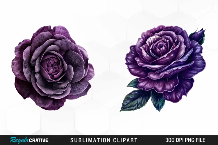 Watercolor Dark Purple Rose Clipart