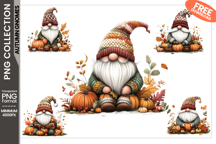 Autumn Gnomes