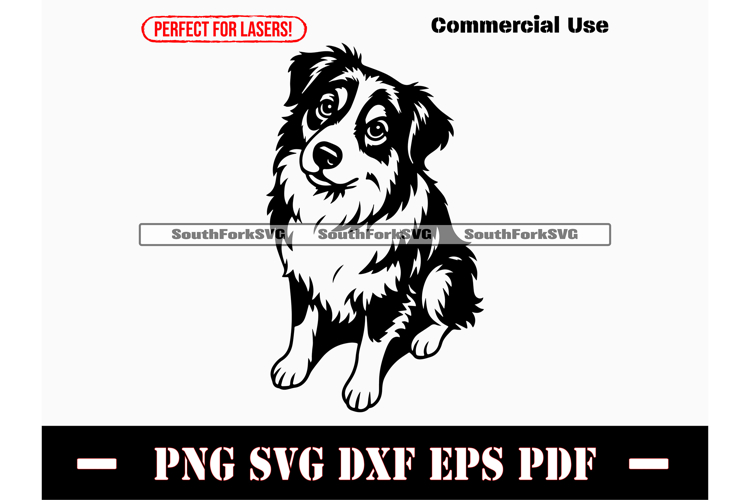 Australian Shepherd Drawing Image 7