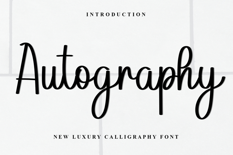 Autography Font Image 15