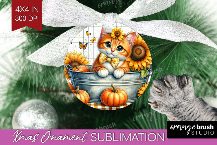Kitten Png Image 5