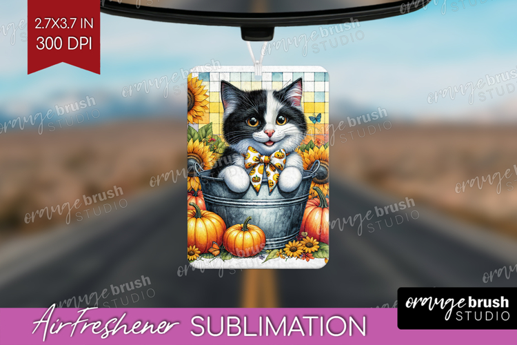 Kitten Png Image 17