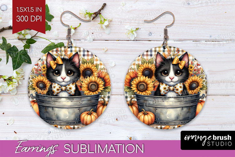 Kitten Png Image 15