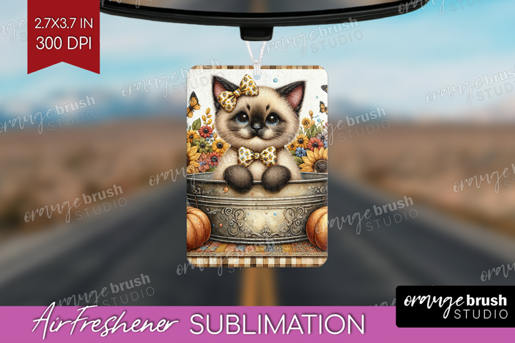 Kitten Png Image 12