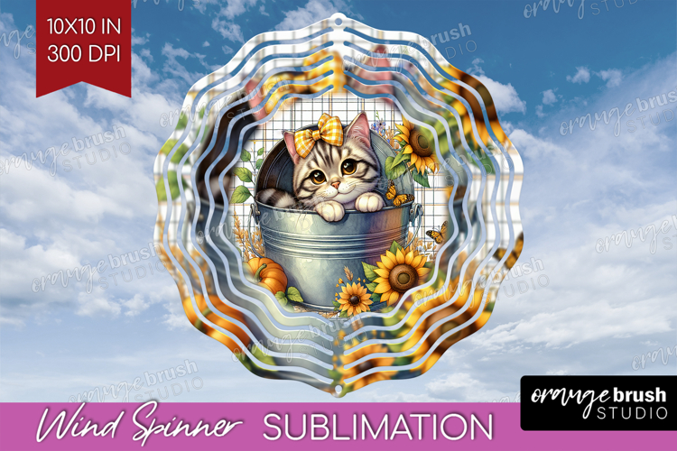 Kitten Png Image 15