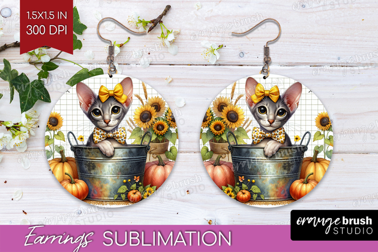 Kitten Png Image 8