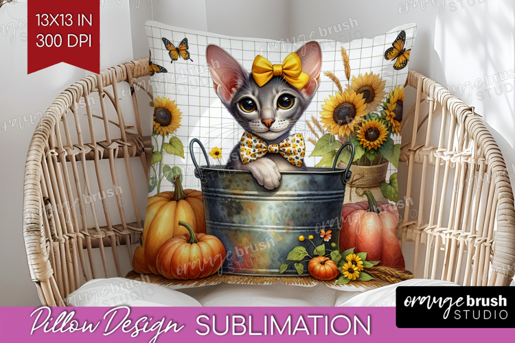 Kitten Png Image 24