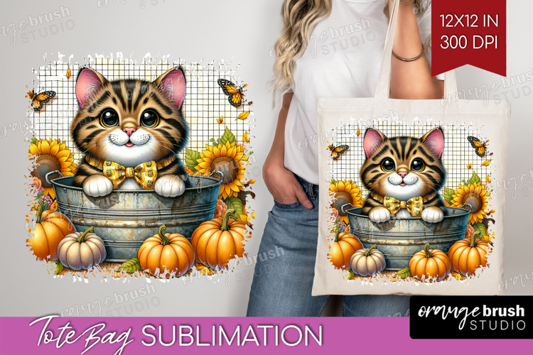 Kitten Png Image 23