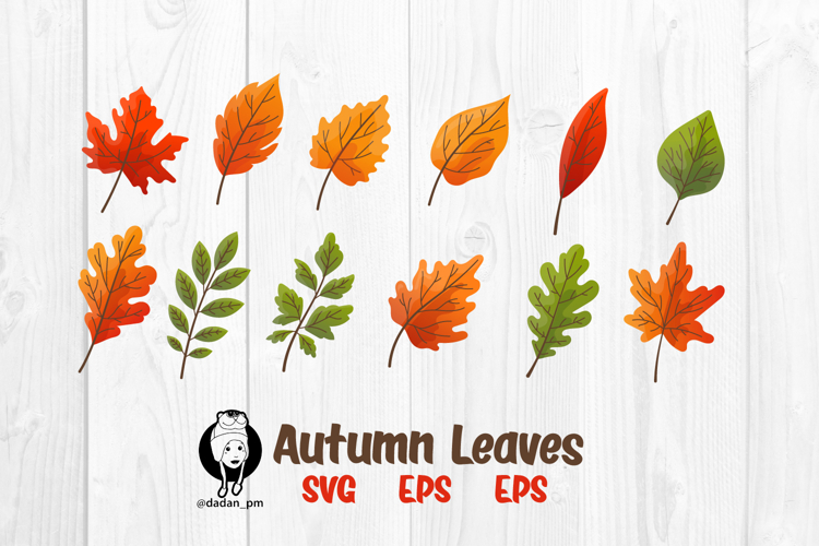 Autumn leaves svg