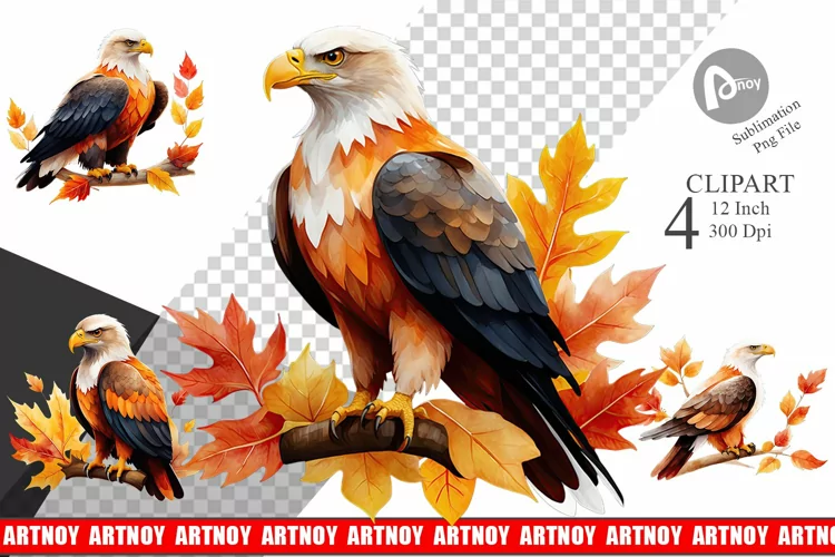 Autumn Eagle Watercolor Clipart