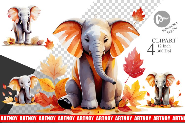 Elephant Png Clipart Image 24