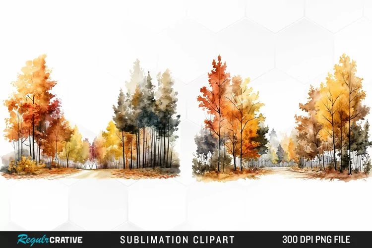 Autumn Forest Exquisite Clipart