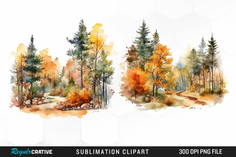 Autumn Forest Exquisite Clipart