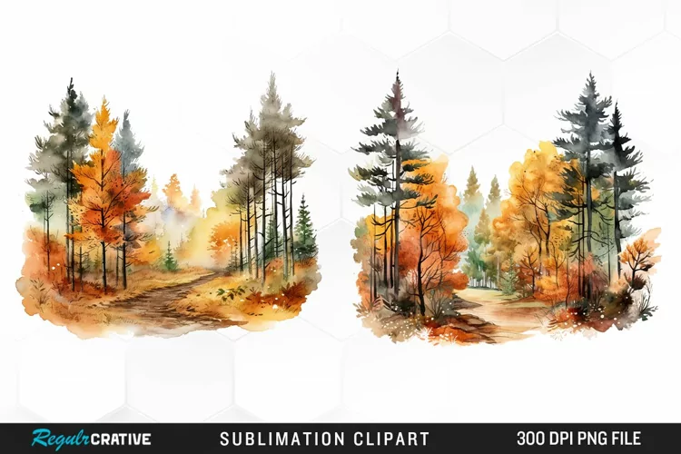 Autumn Forest Exquisite Clipart