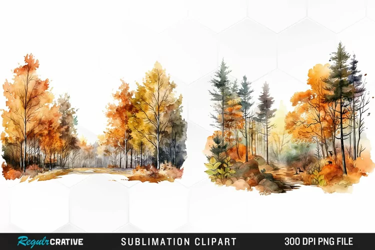 Autumn Forest Exquisite Clipart