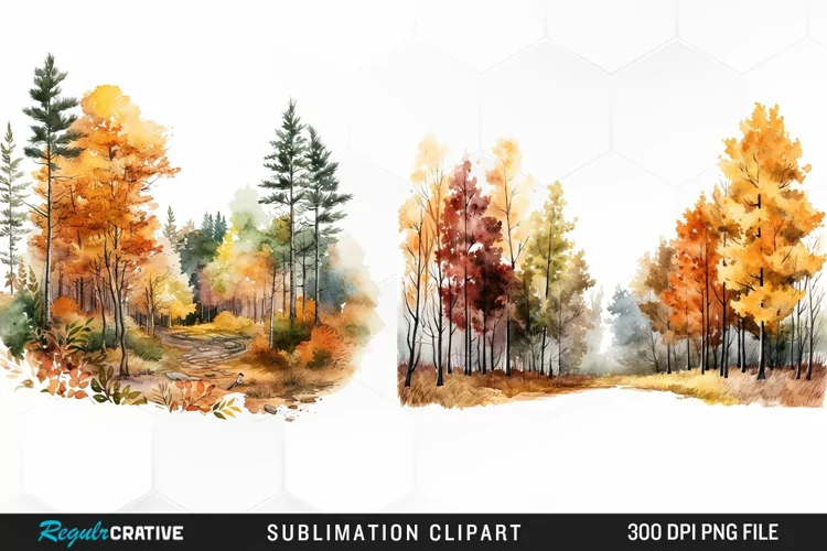 Autumn Forest Exquisite Clipart