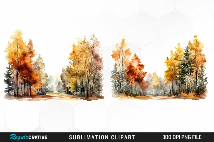 Autumn Forest Exquisite Clipart