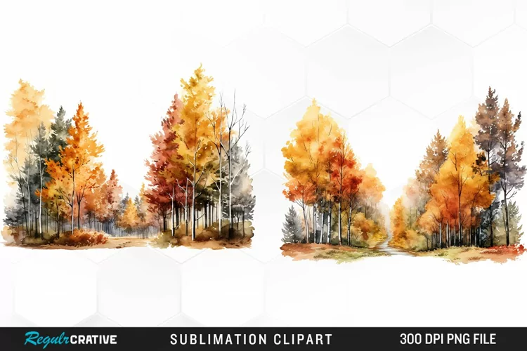 Autumn Forest Exquisite Clipart