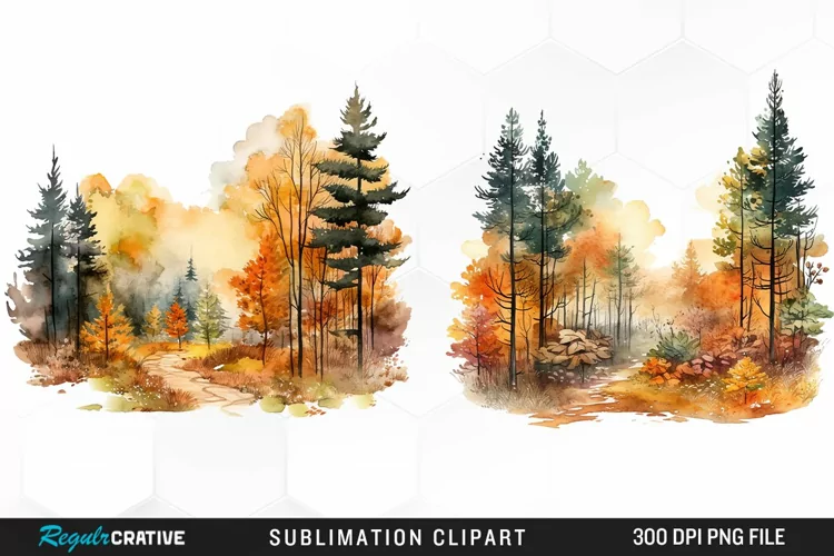 Autumn Forest Exquisite Clipart