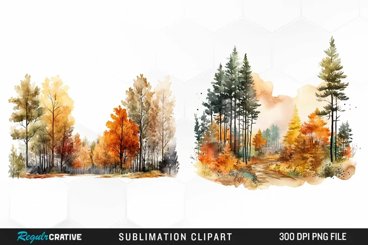 Autumn Forest Exquisite Clipart