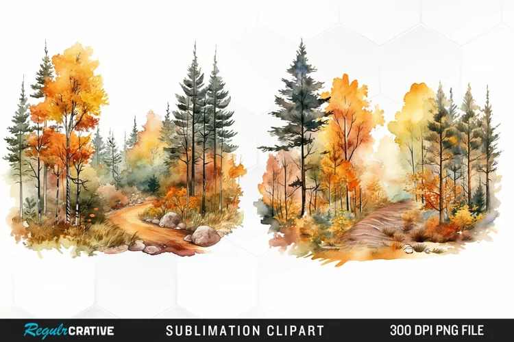 Autumn Forest Exquisite Clipart