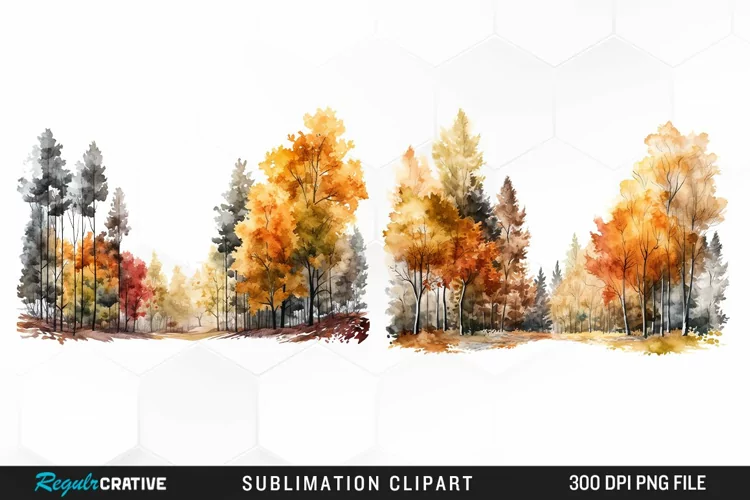 Autumn Forest Exquisite Clipart