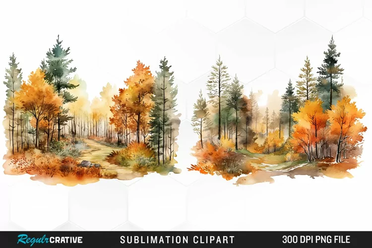 Autumn Forest Exquisite Clipart