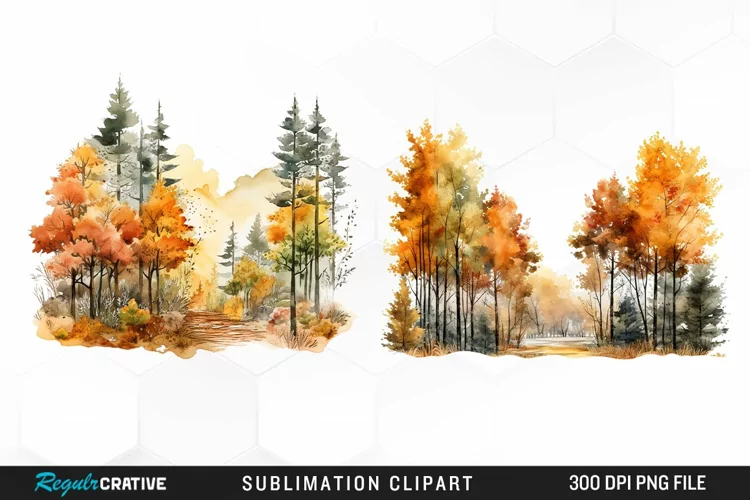 Autumn Forest Exquisite Clipart