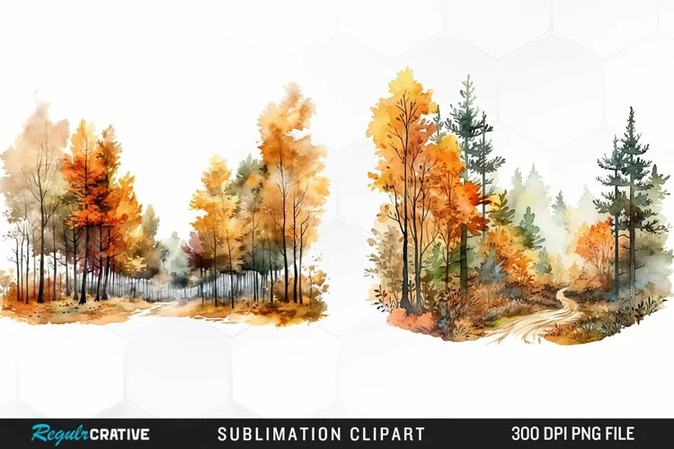 Autumn Forest Exquisite Clipart