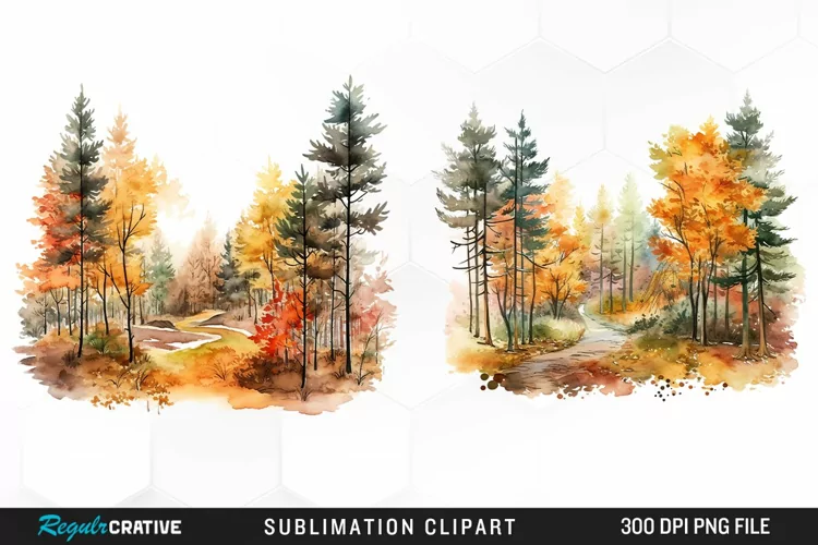 Autumn Forest Exquisite Clipart