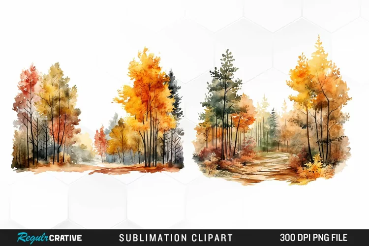 Autumn Forest Exquisite Clipart