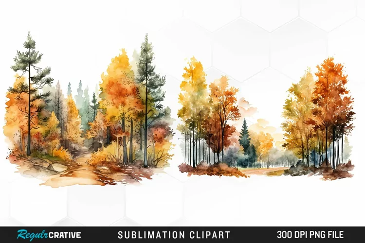 Autumn Forest Exquisite Clipart