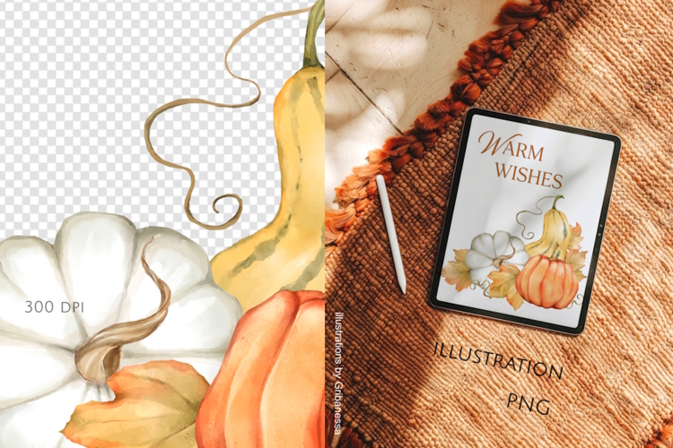 Autumn Harvest Pumpkins PNG