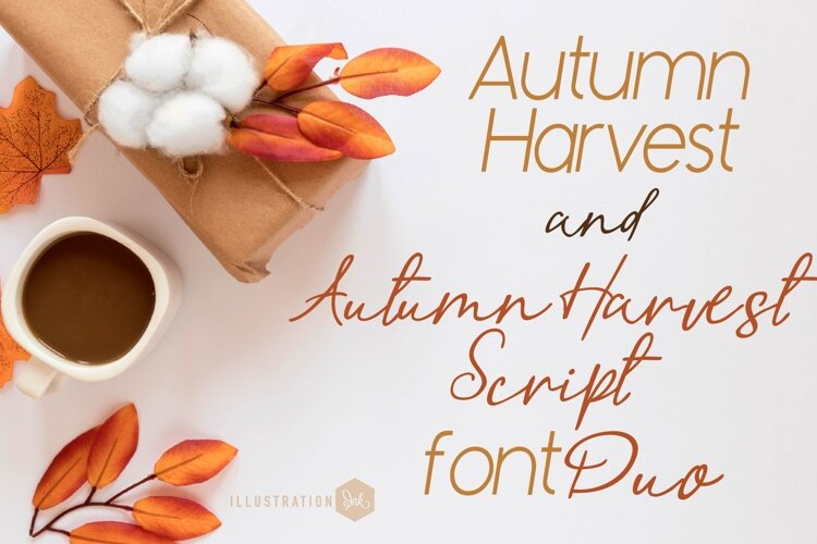 Autumn Harvest Font Duo example image 1