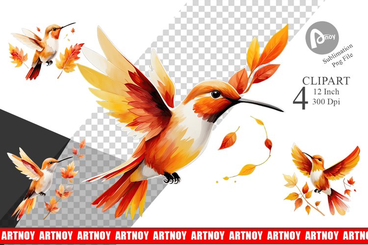 Autumn Hummingbird Watercolor Clipart