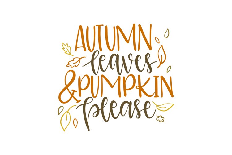 Pumpkin Vector Image 13