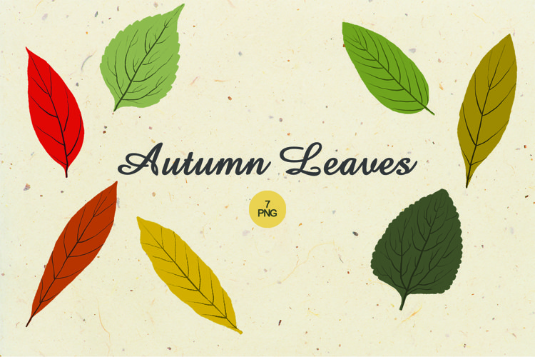 Autumn Leaves 2146844 
