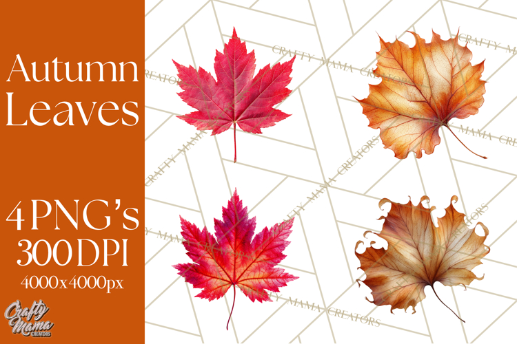 Autumn Leaves Clipart, Fall Foliage Clip Art, PNG