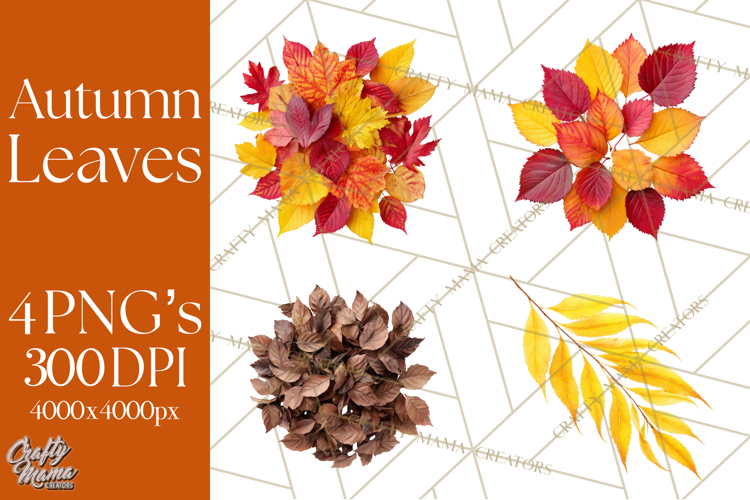 Oak Leaf Clipart Image 11