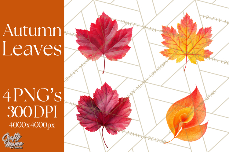 Oak Leaf Clipart Image 14
