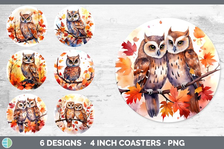 Owl Clipart Image 15