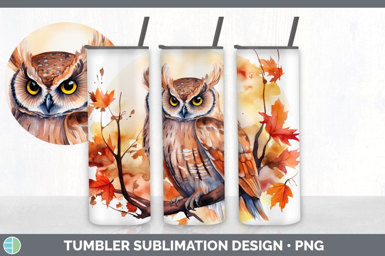 Owl Clipart Image 14